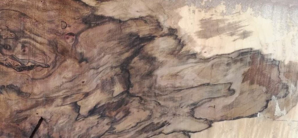 solid walnut slab
